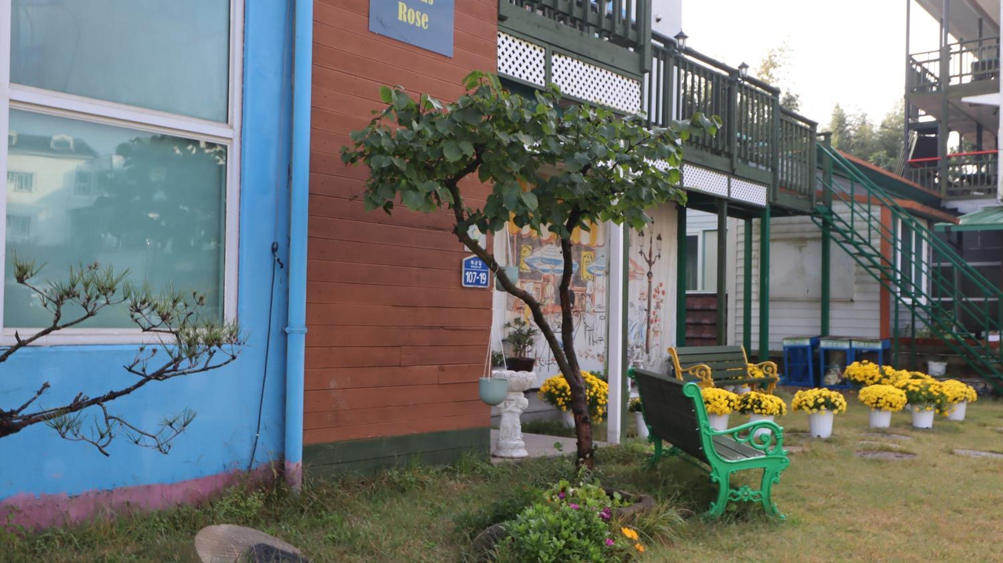 Bellus Rose pensión Gyeongju Exterior foto